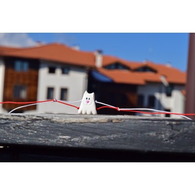 Мартенско Коте